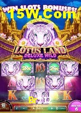 Casino VIP Br212